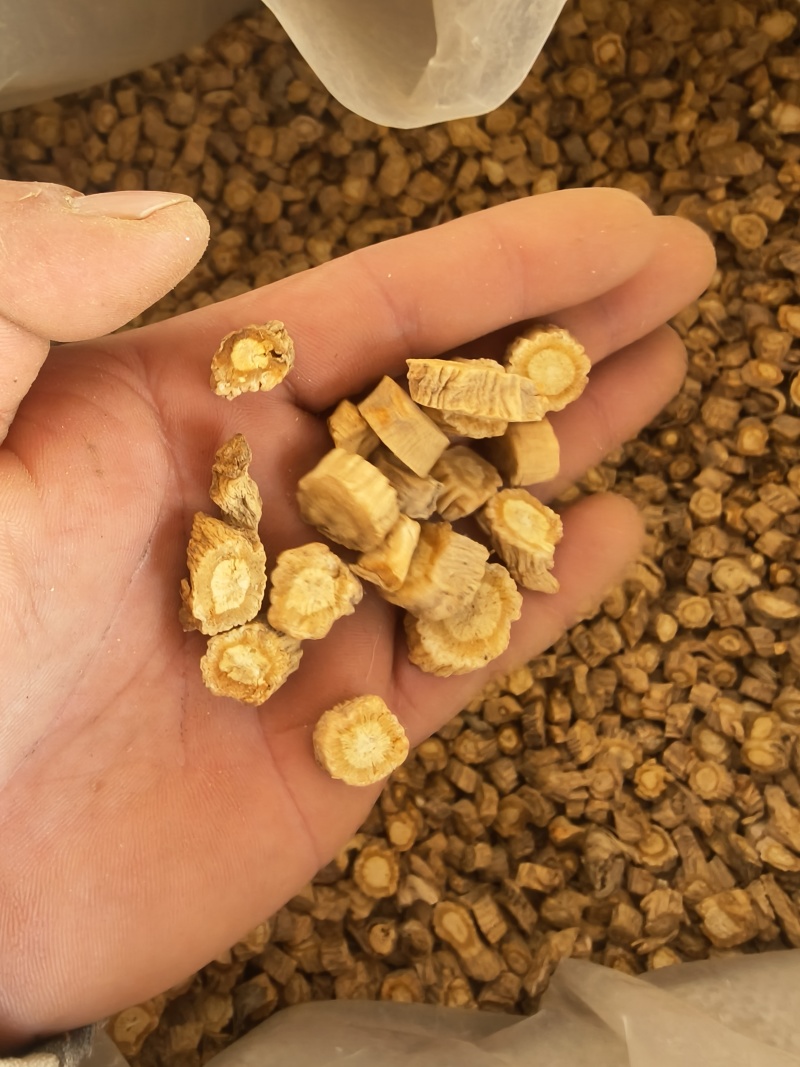 防风颗粒，大小规格齐全，产地直发，规格1.0以上，甘肃货