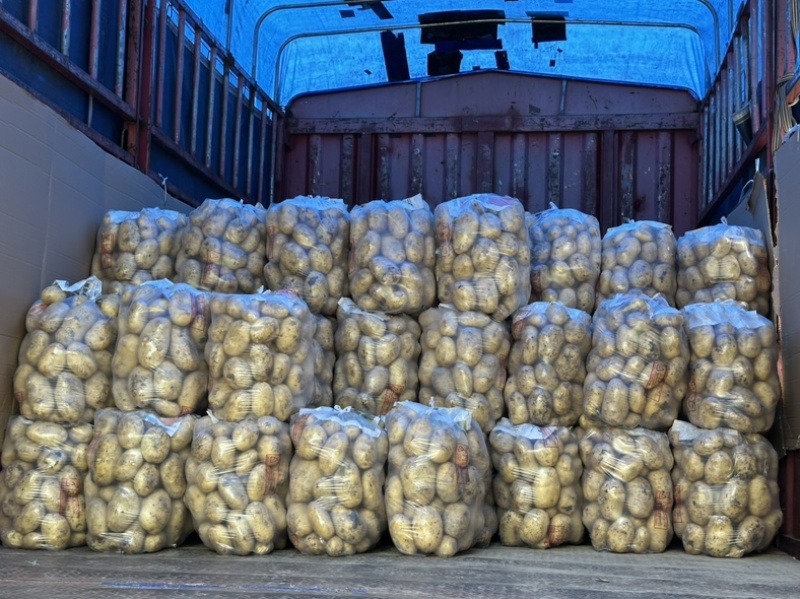 新土豆🥔沃土5号黄皮黄心💛新鲜上市，不空心，谢谢