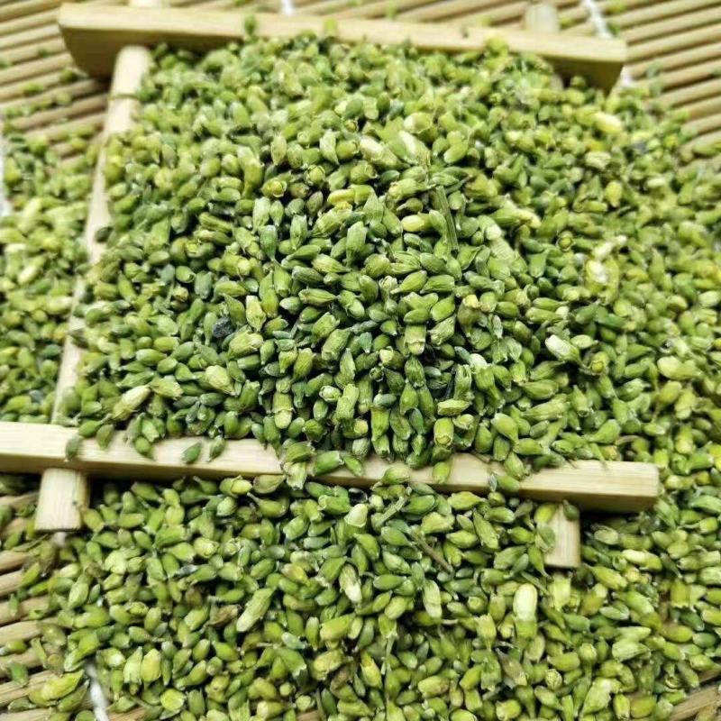 槐米中药材国槐米新货干货正品特级槐花籽子泡水喝可