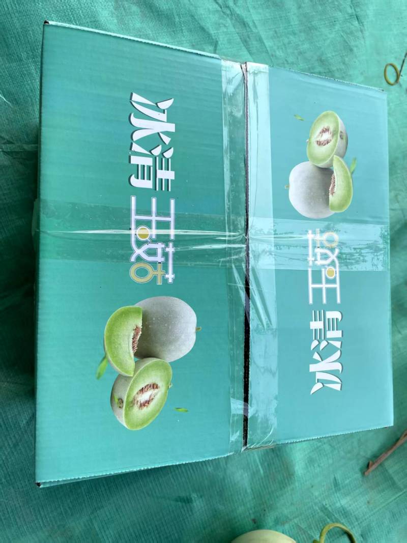 玉菇甜瓜，冰凌淋甜瓜大量现货，社区团购，电商一件代发！