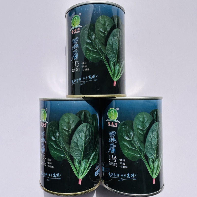 黑盾1号菠菜种子四季红根菠菜种子大叶菠菜种子蔬菜种子