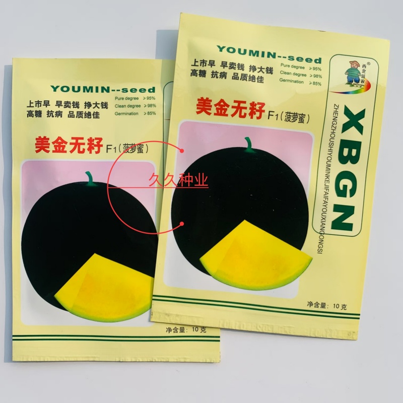美金无籽菠萝蜜西瓜种子高产耐重茬高档优质大果