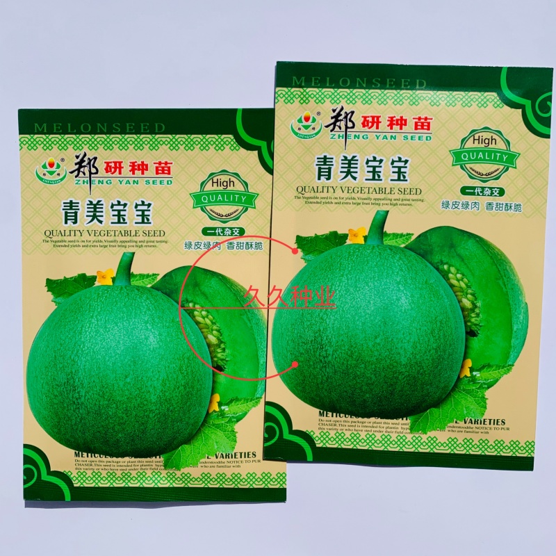 郑研青美宝宝薄皮优质甜瓜种子绿皮绿肉香甜酥脆香味浓郁春秋