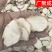 中药材天花粉河北天花粉瓜蒌根栝楼根