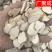 中药材天花粉河北天花粉瓜蒌根栝楼根