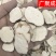 中药材天花粉河北天花粉瓜蒌根栝楼根