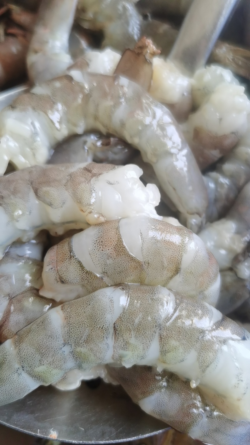 青虾仁