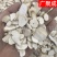 中药材天花粉河北天花粉瓜蒌根栝楼根