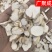 中药材天花粉河北天花粉瓜蒌根栝楼根