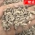 【包邮】牛膝中药材怀牛膝牛夕规格齐全批发零售各种中药材