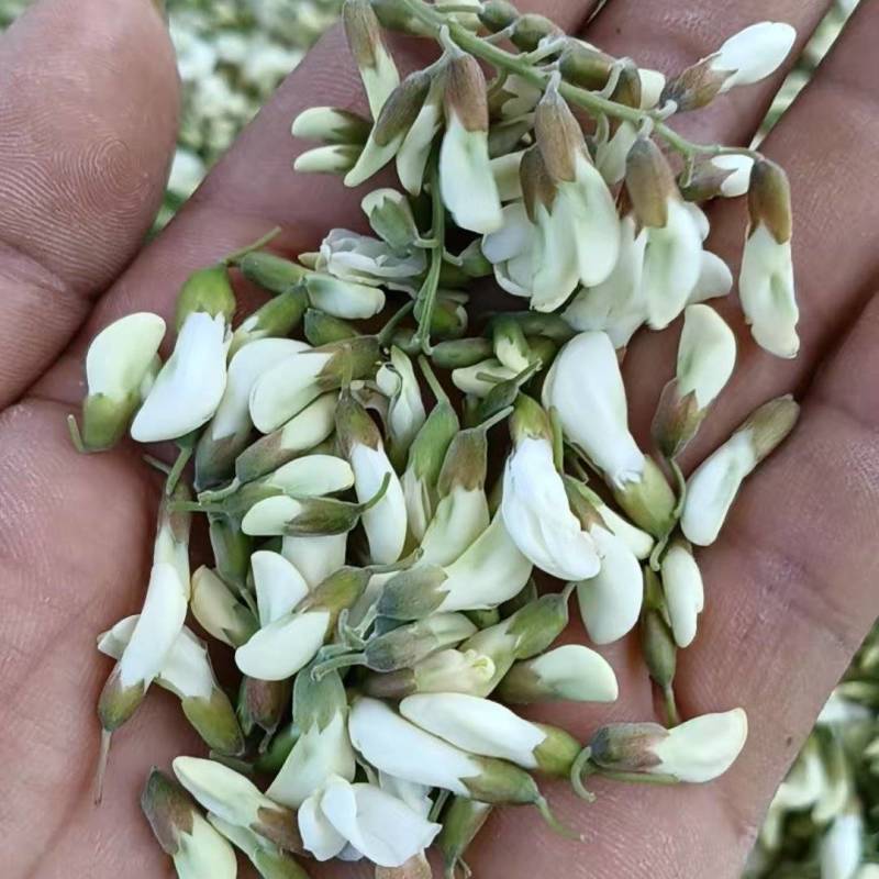 洋槐花，来自无污染的秦岭山麓的野生佳品，山民自采