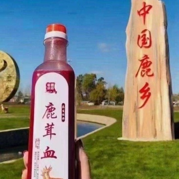 新鲜鹿茸血加酒保鲜发货新鲜加酒保鲜发货一瓶一斤五百毫升