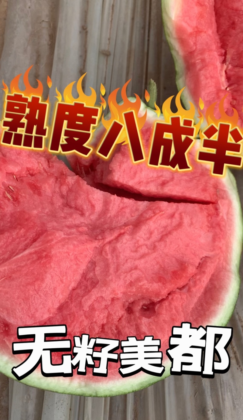 江苏东台美都西瓜大量上市中需要联系，包质量价格低