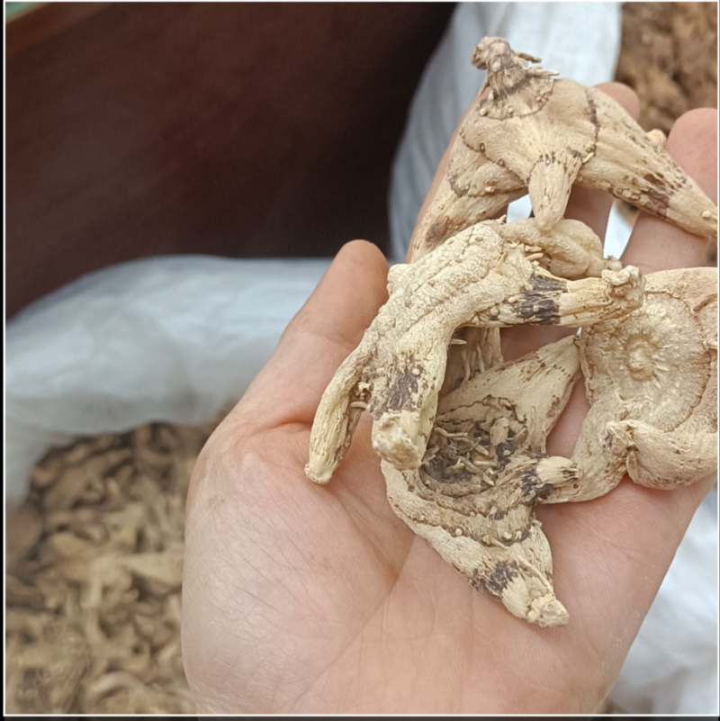 白芨白芨个白芨片各种规格的的白芹可做饮片和药广