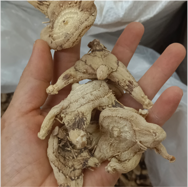 白芨白芨个白芨片各种规格的的白芹可做饮片和药广