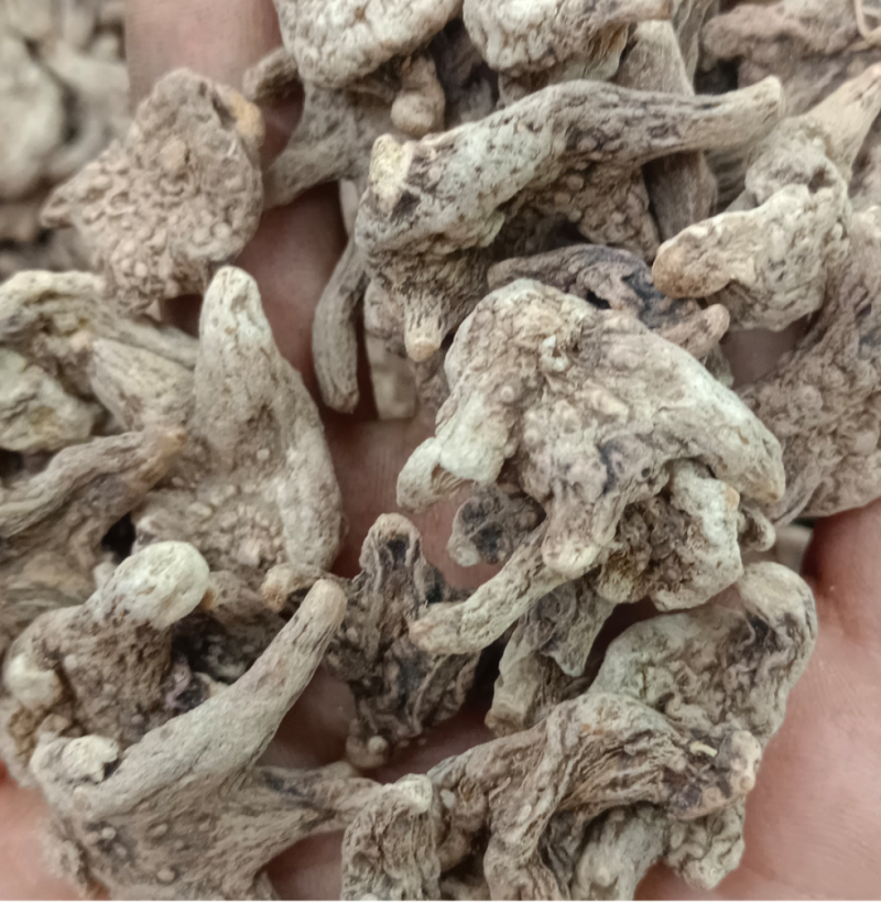 白芨白芨个白芨片各种规格的的白芹可做饮片和药广
