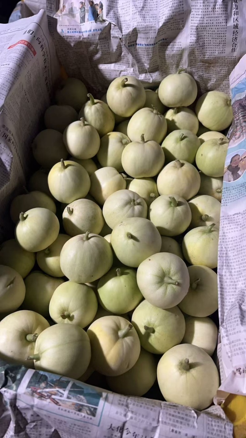 大量香瓜电商货源