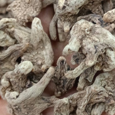 白芨白芨个白芨片各种规格的的白芹可做饮片和药广
