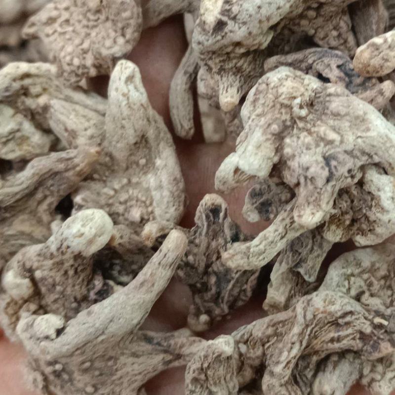 白芨白芨个白芨片各种规格的的白芹可做饮片和药广