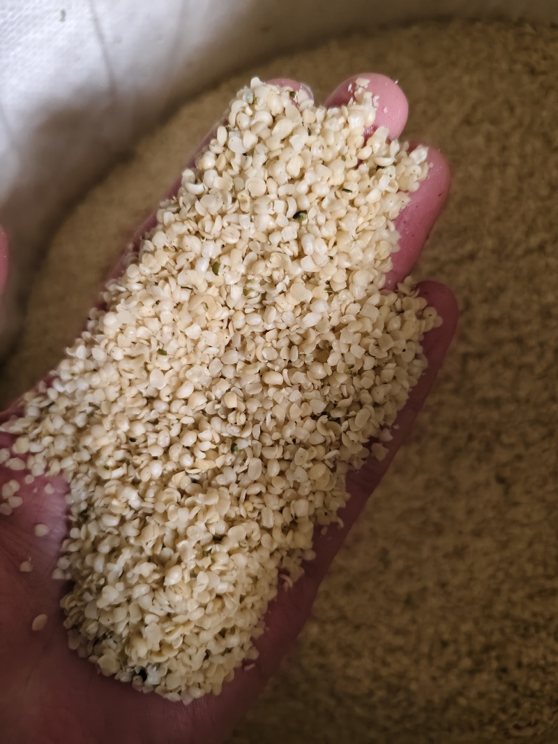 火麻仁中药材脱壳火麻仁火麻籽规格齐全厂家直销品质保证
