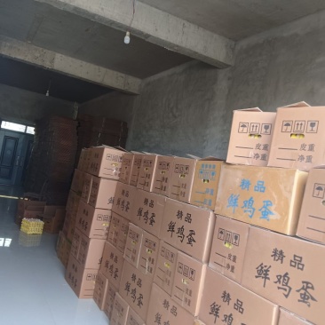 44斤精品146元不含包装及运费