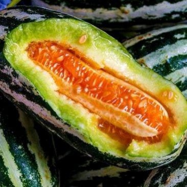 陕西博洋九号甜瓜，优质博洋九号甜瓜，精品博洋九号甜瓜
