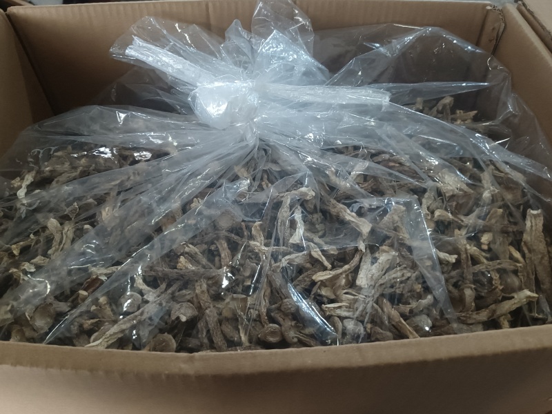 福建古田鹿茸菇食用菌，无硫，切根，精选鹿茸菇。产地直销。