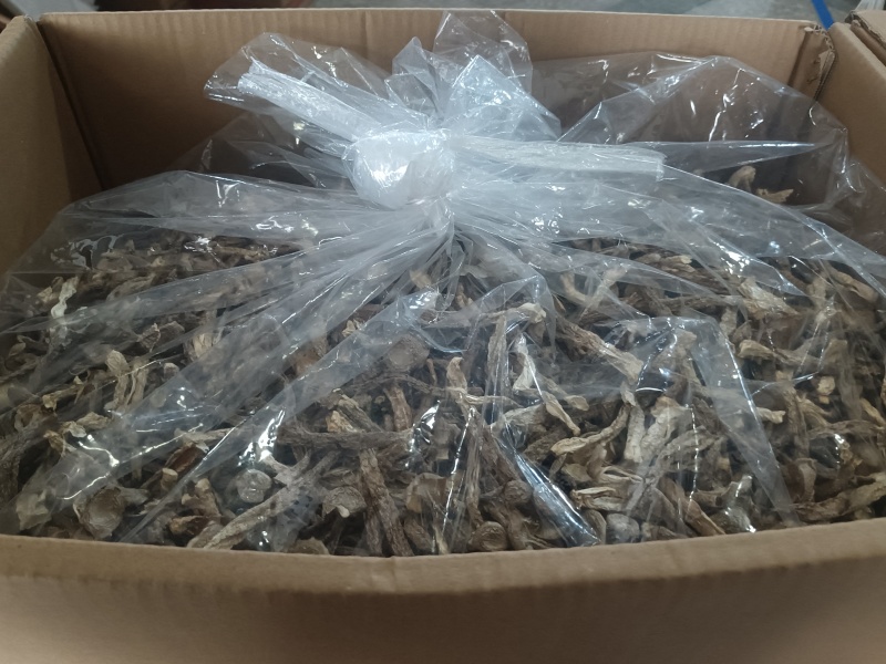 福建古田鹿茸菇食用菌，无硫，切根，精选鹿茸菇。产地直销。