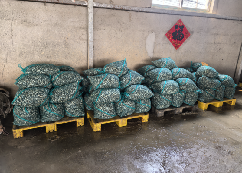 青岛蛤蜊，花蛤，花甲。50-55粒。精品货源，养殖户直发
