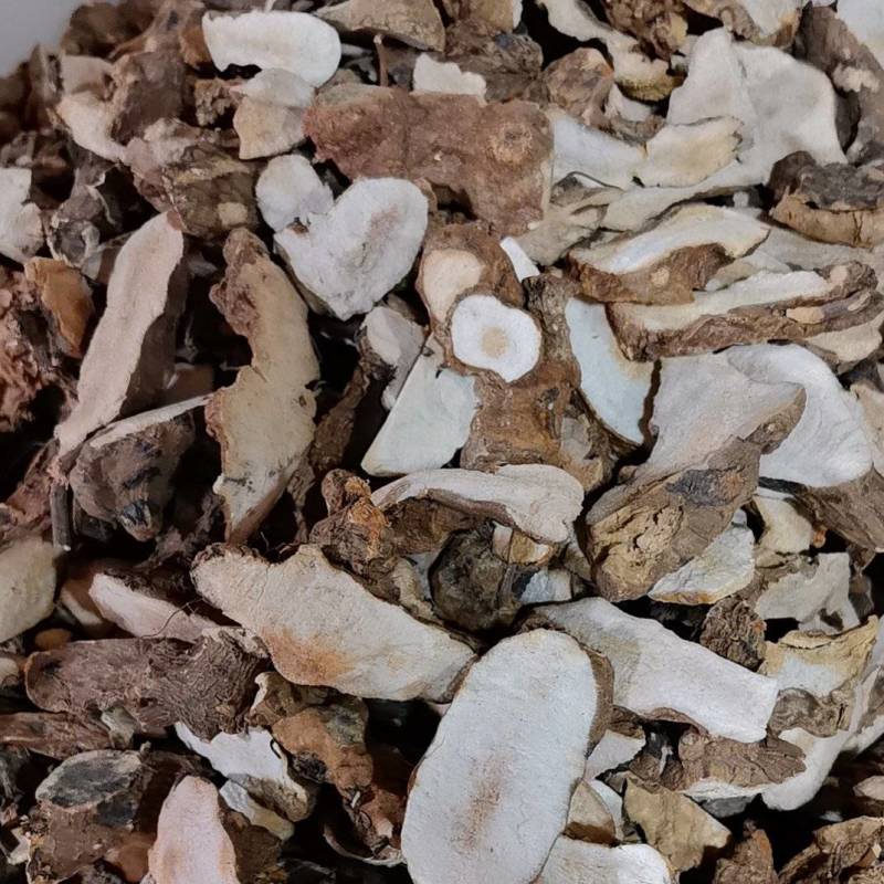 纯正粉质白肉土茯苓