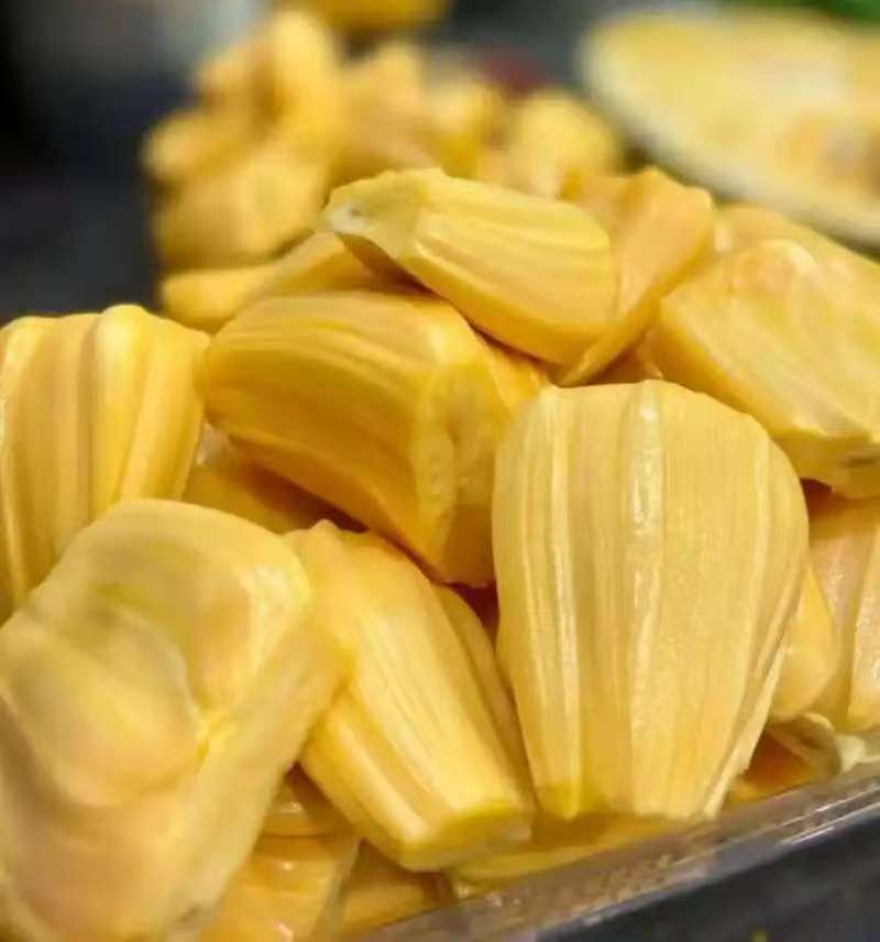 精品海南菠萝蜜产地发货量大从优质量保证欢迎咨询