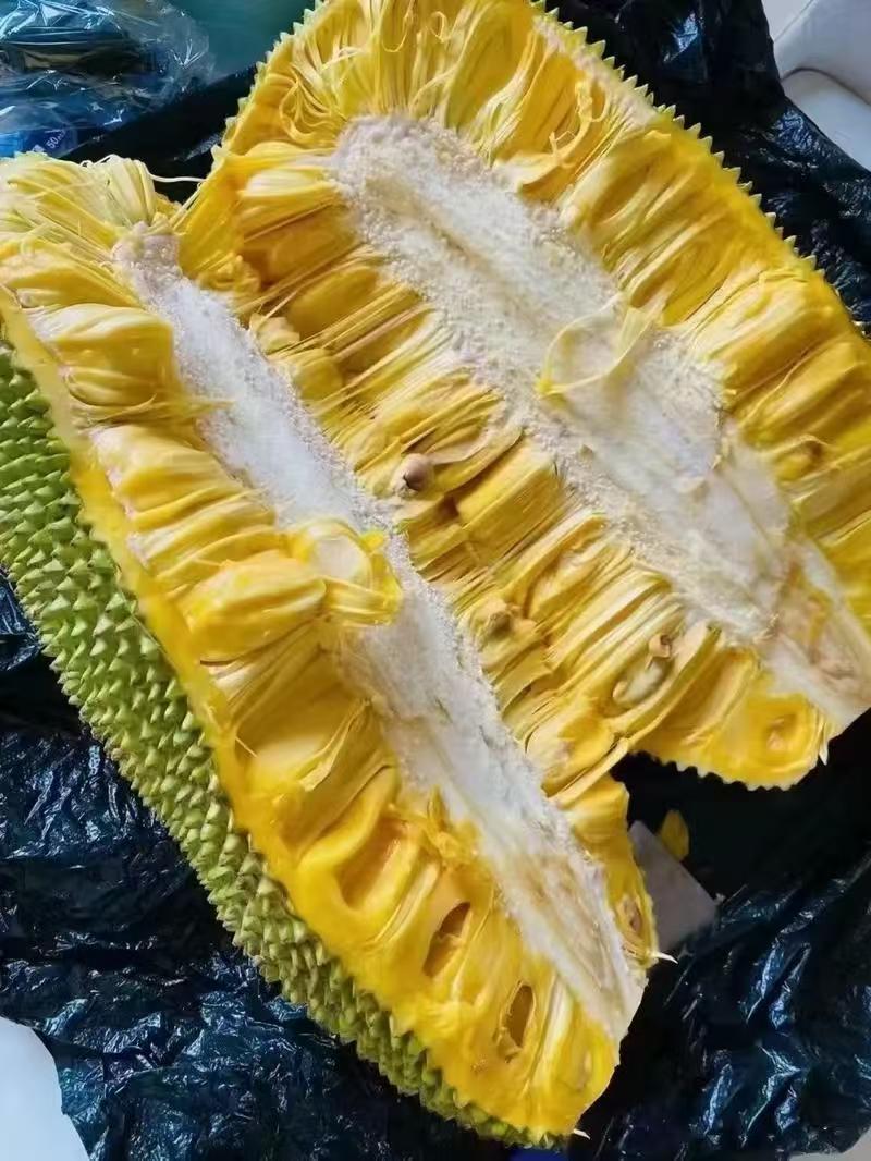 精品海南菠萝蜜产地发货量大从优质量保证欢迎咨询