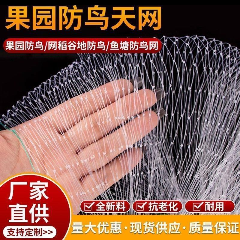 综丝尼龙材质25线防鸟网各种规格批发零售欢迎新老