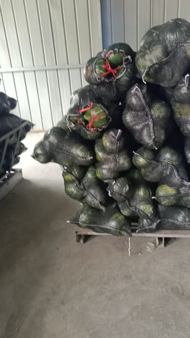 盐城精品板栗南瓜农家自产销品质保障对接市场商超工厂