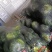 盐城精品板栗南瓜农家自产销品质保障对接市场商超工厂