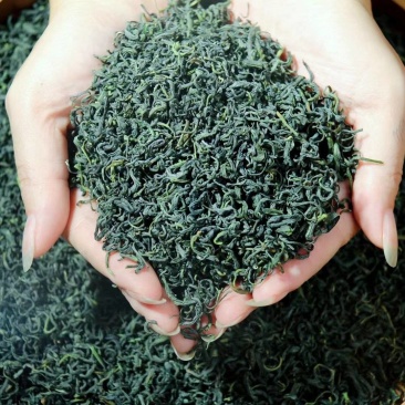 湖北绿茶恩施龙井香茶春茶明前茶。偏远山区农村茶叶