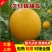 瑞红甜瓜，河南滑县万亩甜瓜大量上市，代发全国，实力代办