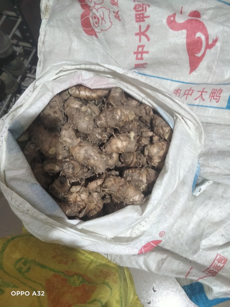 莪术，产地经营，货源充足质量很好，是一种很好中药材。