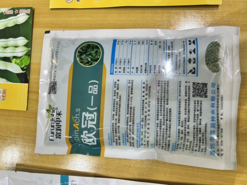 菠菜种子欧冠一品秋菠菜中早熟耐热耐寒抽苔南北方种植