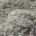 绵阳市三台县川麦冬大量上市欢迎各位老板来购买