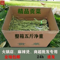 义门苔干（贡菜）正宗义门特产贡菜干，清脆爽口，无染无杂