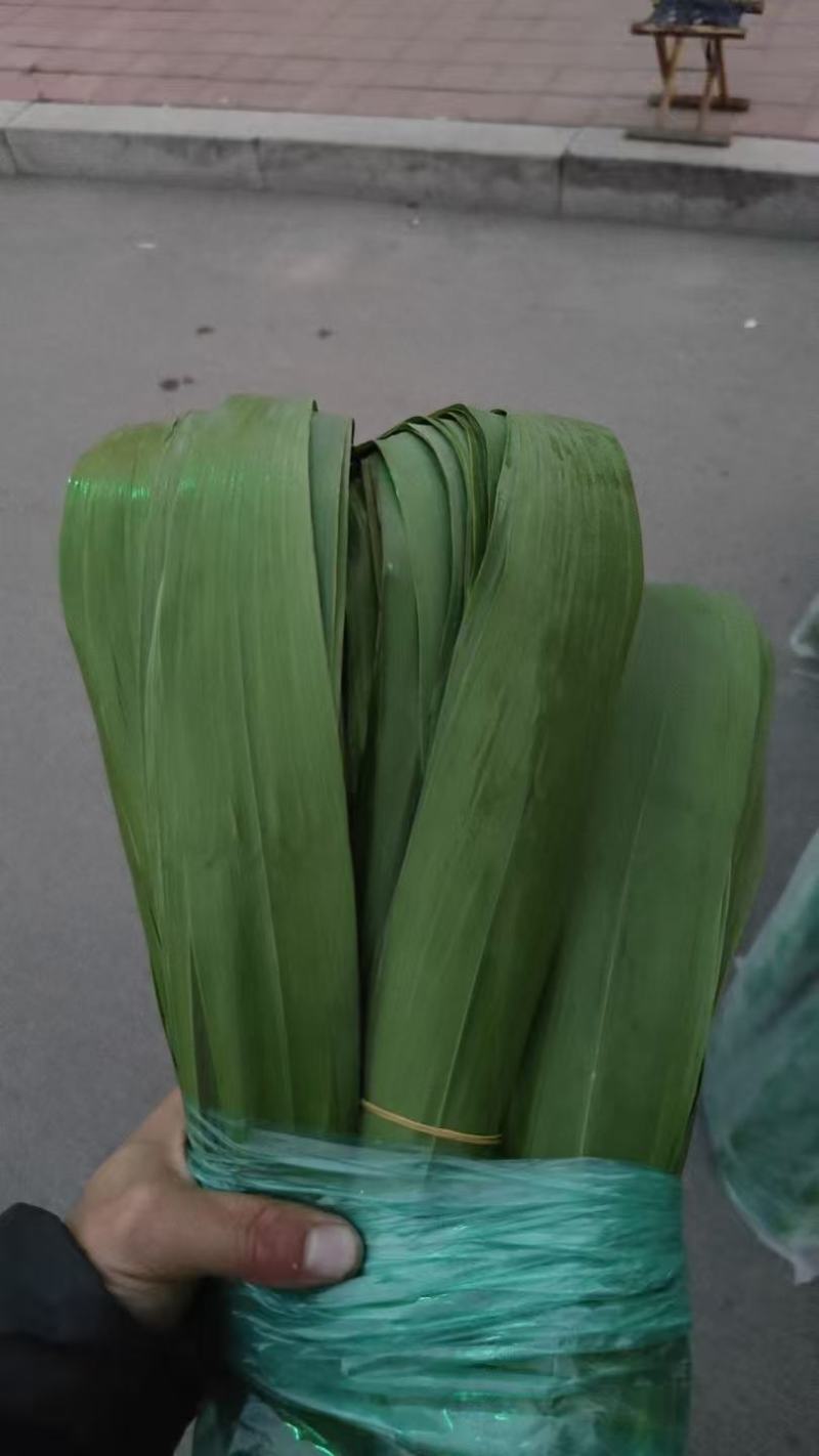 芦苇叶原产地直发大量现货供应品质保证价格优惠