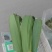 芦苇叶原产地直发大量现货供应品质保证价格优惠