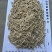 绵阳市三台县花园镇川麦冬源头厂家量大从优