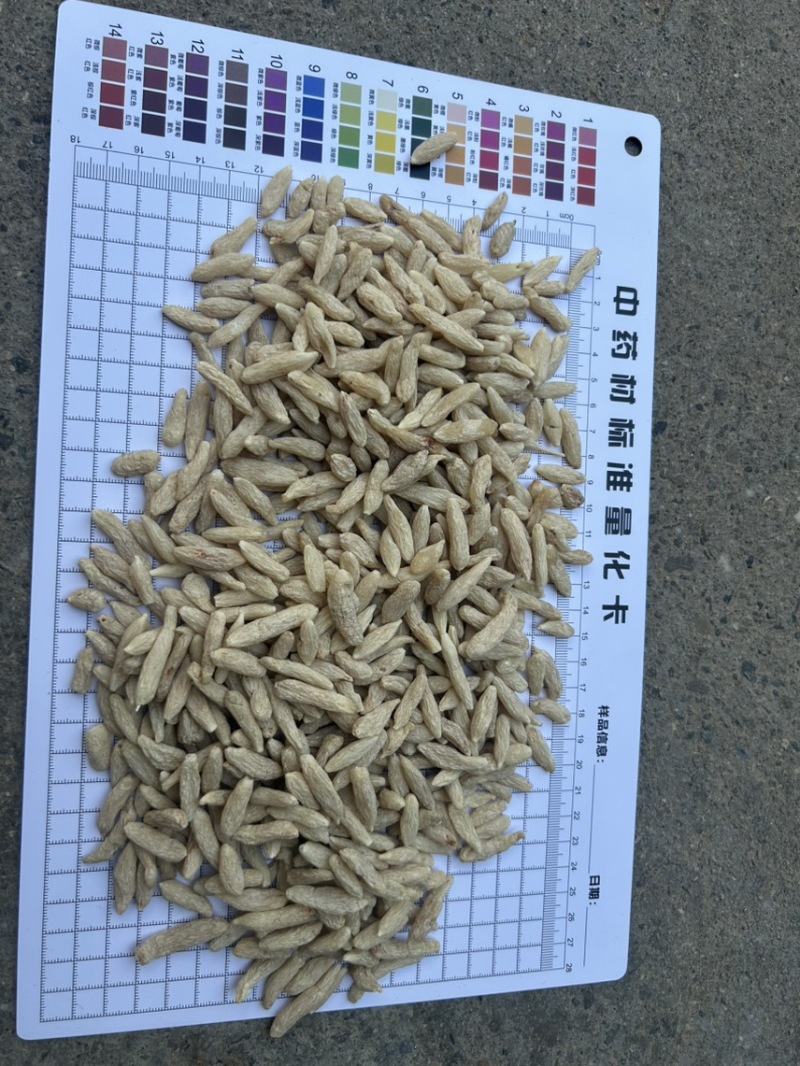 绵阳市三台县花园镇川麦冬源头厂家量大从优