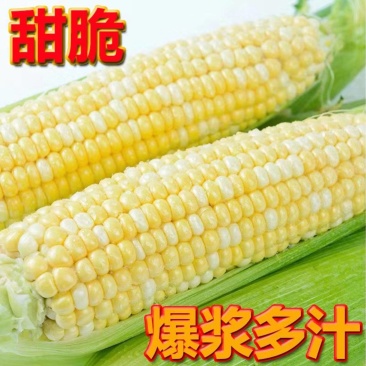 水果玉米全国可发价格透明对接各大商超可视频看货
