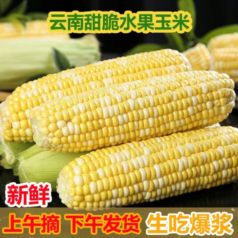 水果玉米全国可发价格透明对接各大商超可视频看货