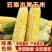 水果玉米全国可发价格透明对接各大商超可视频看货