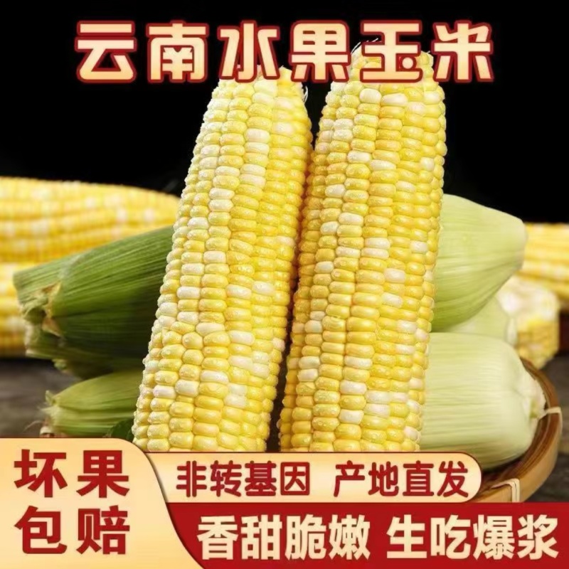 水果玉米全国可发价格透明对接各大商超可视频看货