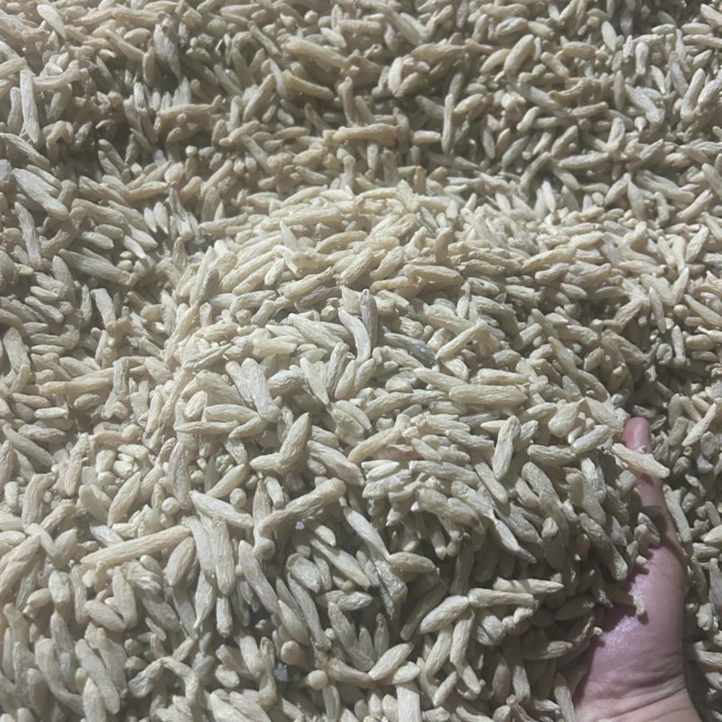 绵阳市三台县花园镇川麦冬源头厂家量大从优